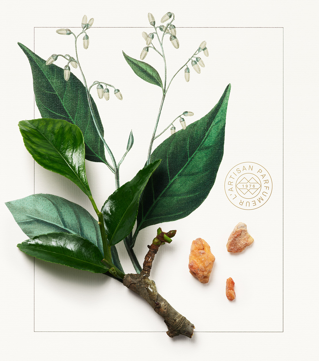 CAROUSEL_01_1110X1256 (3).png